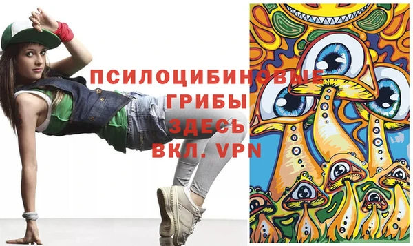 спиды Козельск