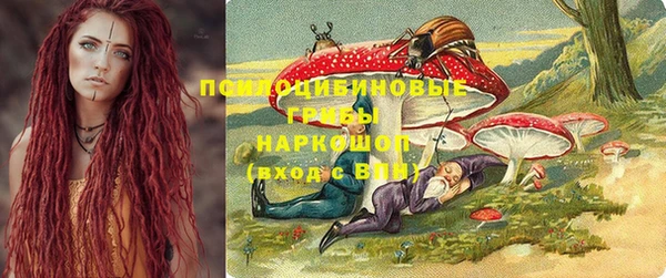 сатива Козловка