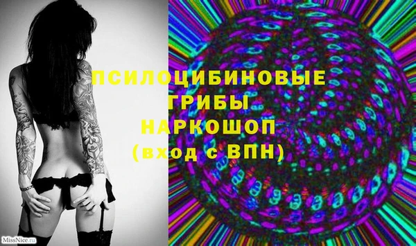 спайс Корсаков