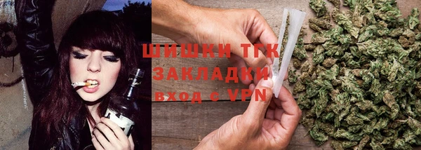 сатива Козловка