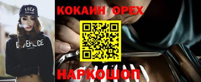 крисы Гагарин
