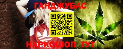 крисы Гагарин