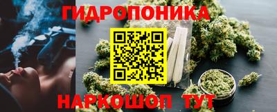 ешки Гатчина