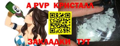 крисы Гагарин