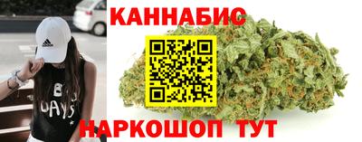 крисы Гагарин