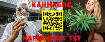 крисы Гагарин