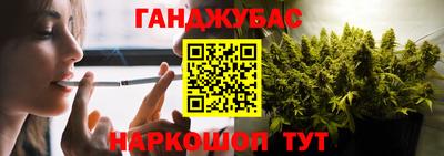 крисы Гагарин