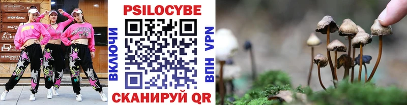 mega зеркало  Когалым  Галлюциногенные грибы Psilocybe 