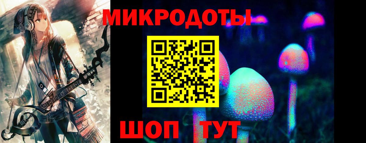 Псилоцибиновые грибы Psilocybe Когалым