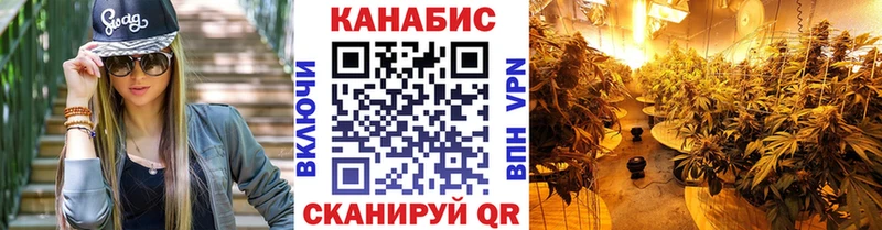 купить наркоту  Когалым  МЕГА ТОР  Шишки марихуана сатива 